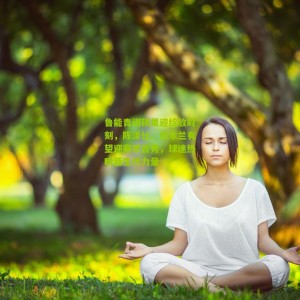 【开云体育】鲁能青训硕果迎绽放时刻，陈泽仕、依木兰有望迎赛季首秀，球迷热盼新生代力量