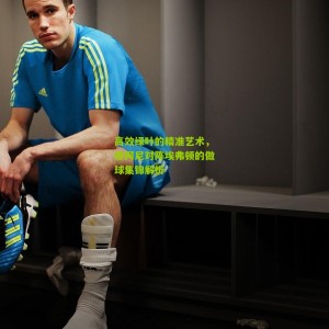 开云下载_高效绿叶的精准艺术，穆阿尼对阵埃弗顿的做球集锦解析