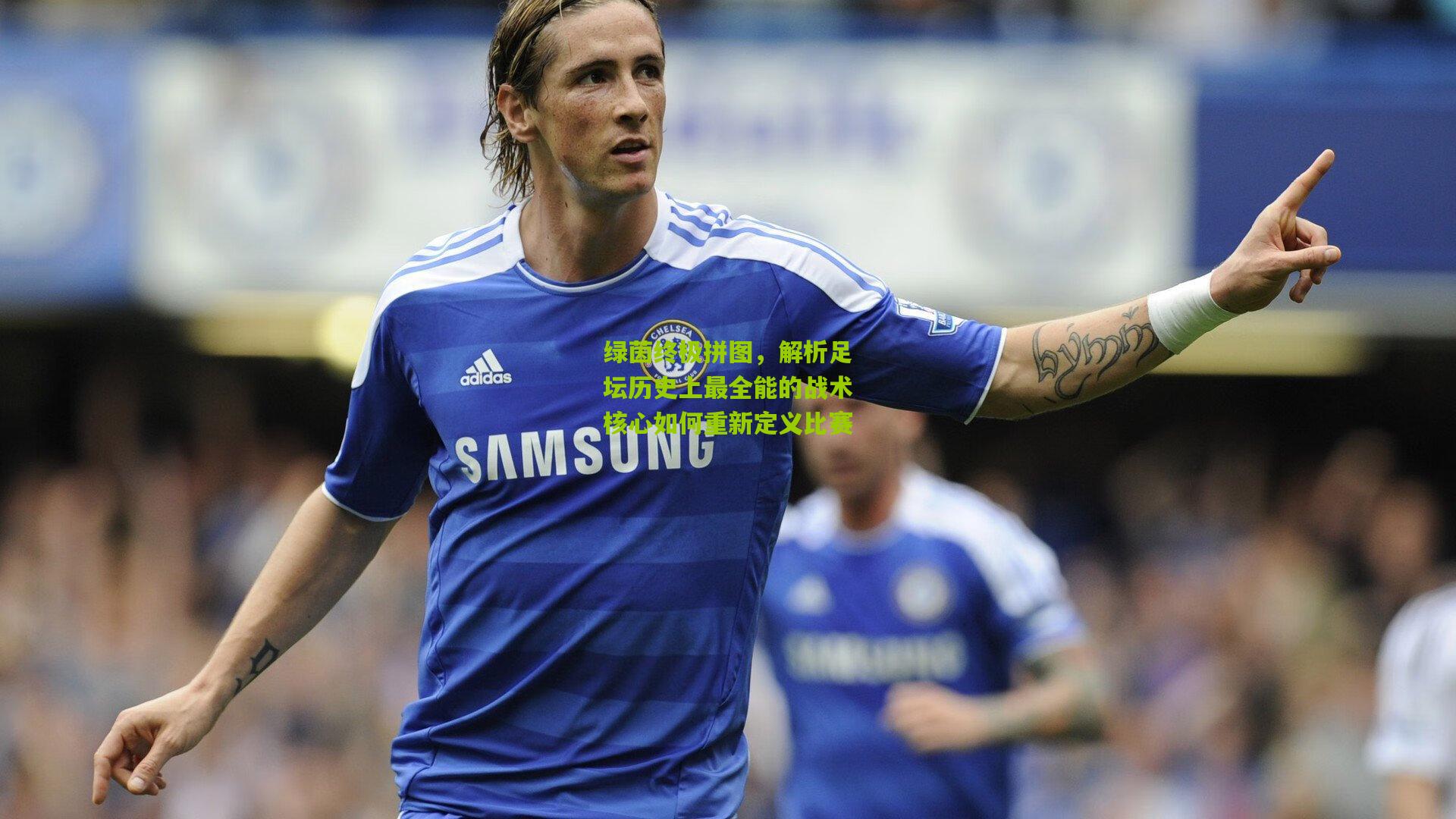 绿茵终极拼图，解析足坛历史上最全能的战术核心如何重新定义比赛